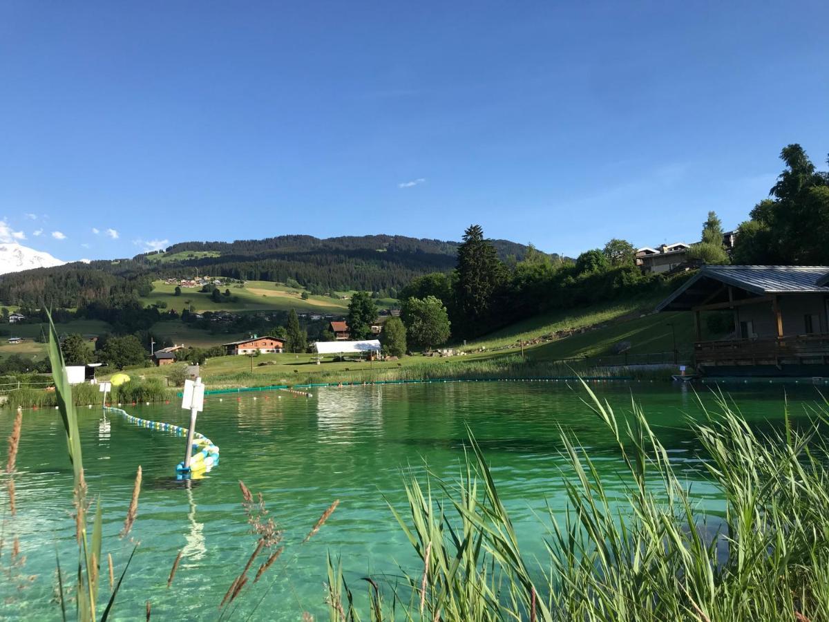 Nid Douillet A La Louvee Lägenhet Combloux Exteriör bild